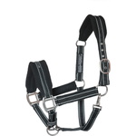 Paardenuitrusting